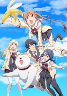 Aho Girl