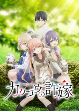 جميع حلقات انمي Kakkou no Iinazuke مترجمة اون لاين