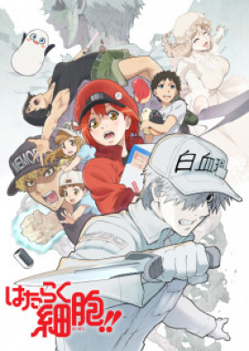 جميع حلقات انمي Hataraku Saibou 2nd Season مترجمة اون لاين