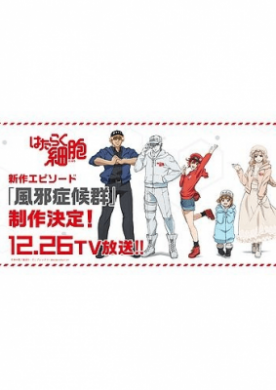 جميع حلقات انمي Hataraku Saibou Kaze Shoukougun مترجمة